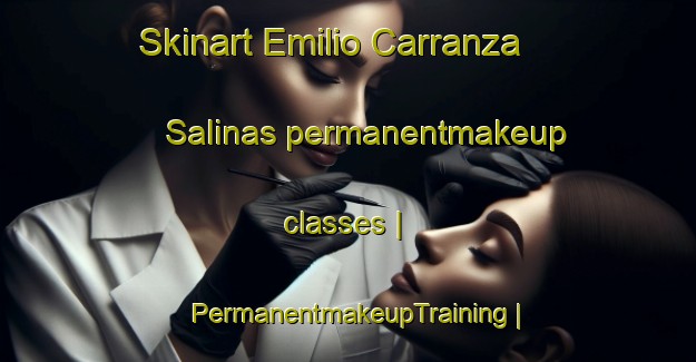 Skinart Emilio Carranza  Salinas permanentmakeup classes | PermanentmakeupTraining | PermanentmakeupClasses | SkinartTraining-Mexico